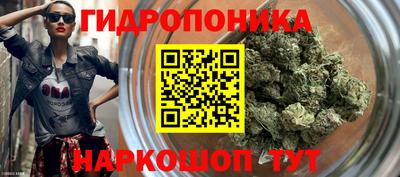 гидра Кингисепп