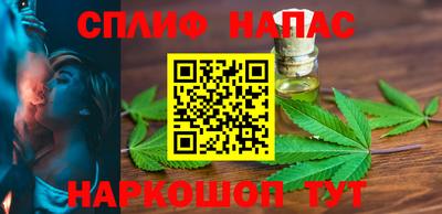 гидра Кингисепп