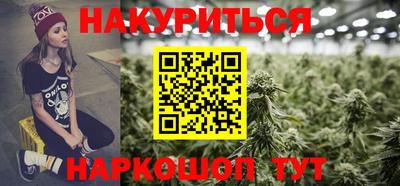 гидра Кингисепп