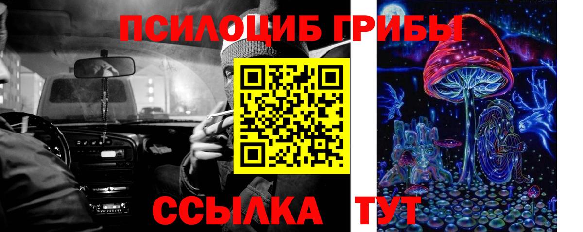 Галлюциногенные грибы Psilocybe Красноперекопск