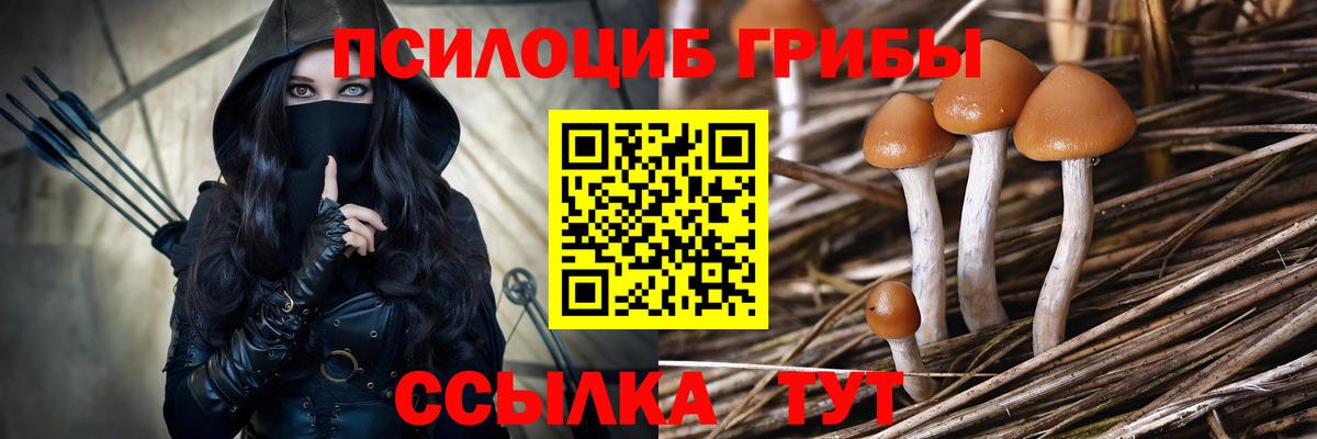 Красноперекопск  Псилоцибиновые грибы прущие грибы  Вход с VPN 